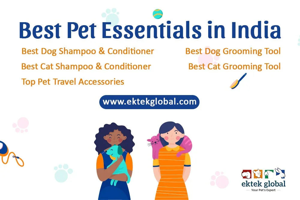 The Complete Guide to Keeping Your Pets Comfortable, Clean, and Prepared for Travel in India