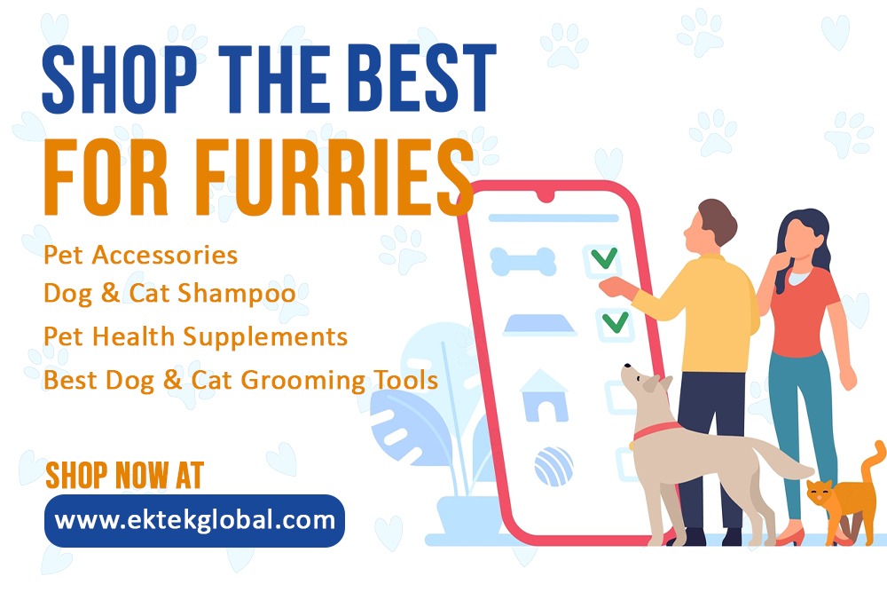 A Complete Guide to Finding the Best Pet Supplies Online in India