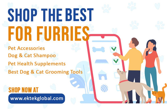 A Complete Guide to Finding the Best Pet Supplies Online in India