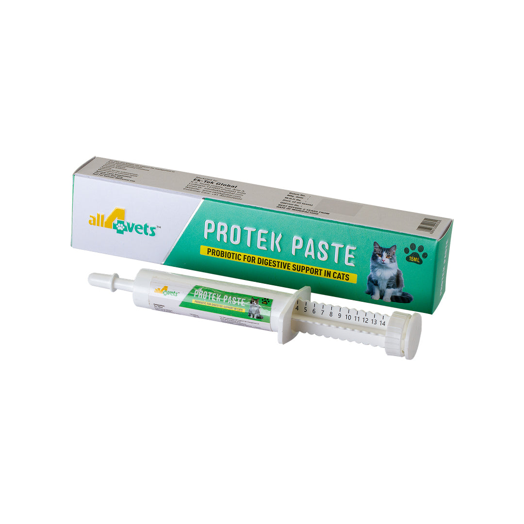 Protek Paste For Cats
