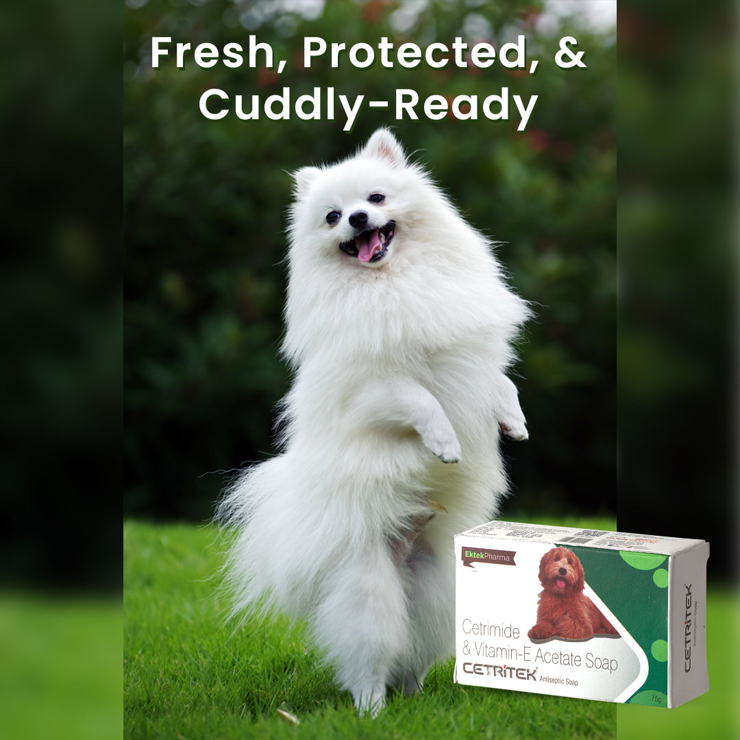 Cetritek Antiseptic Soap 75gm (Pack of 5)