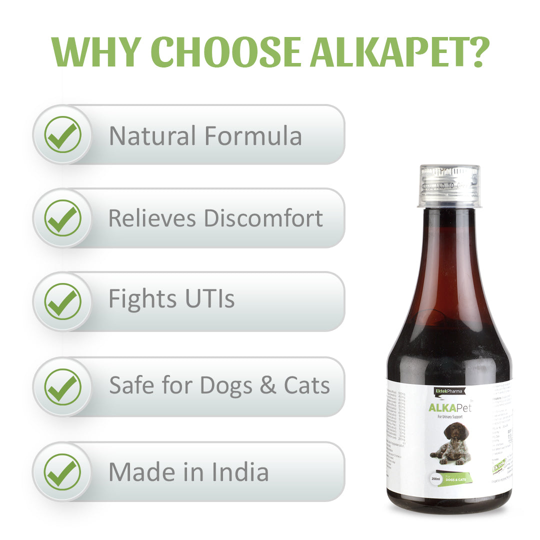AlkaPet Syrup – For Urinary Support in Dogs & Cats (200ml)