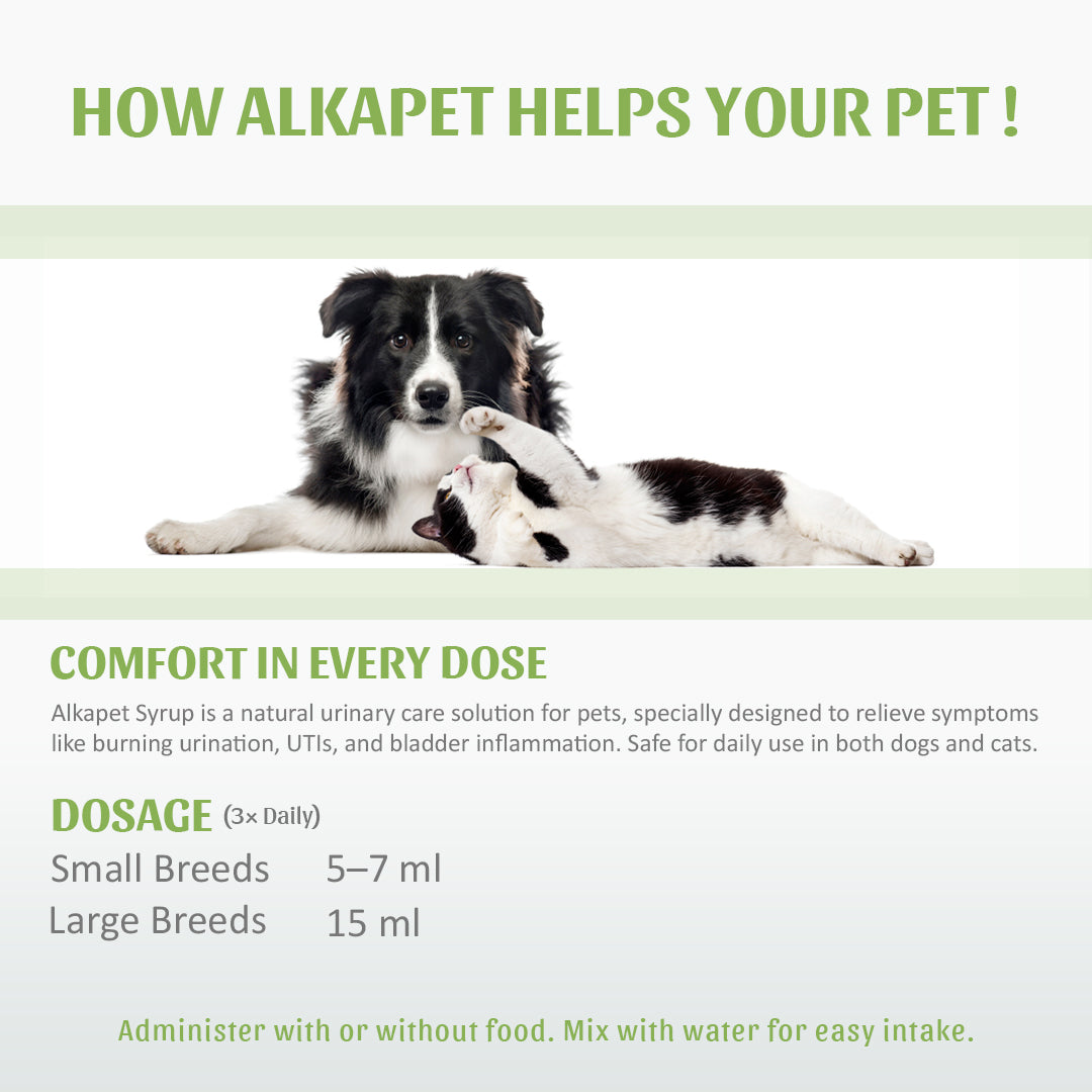 AlkaPet Syrup – For Urinary Support in Dogs & Cats (200ml)