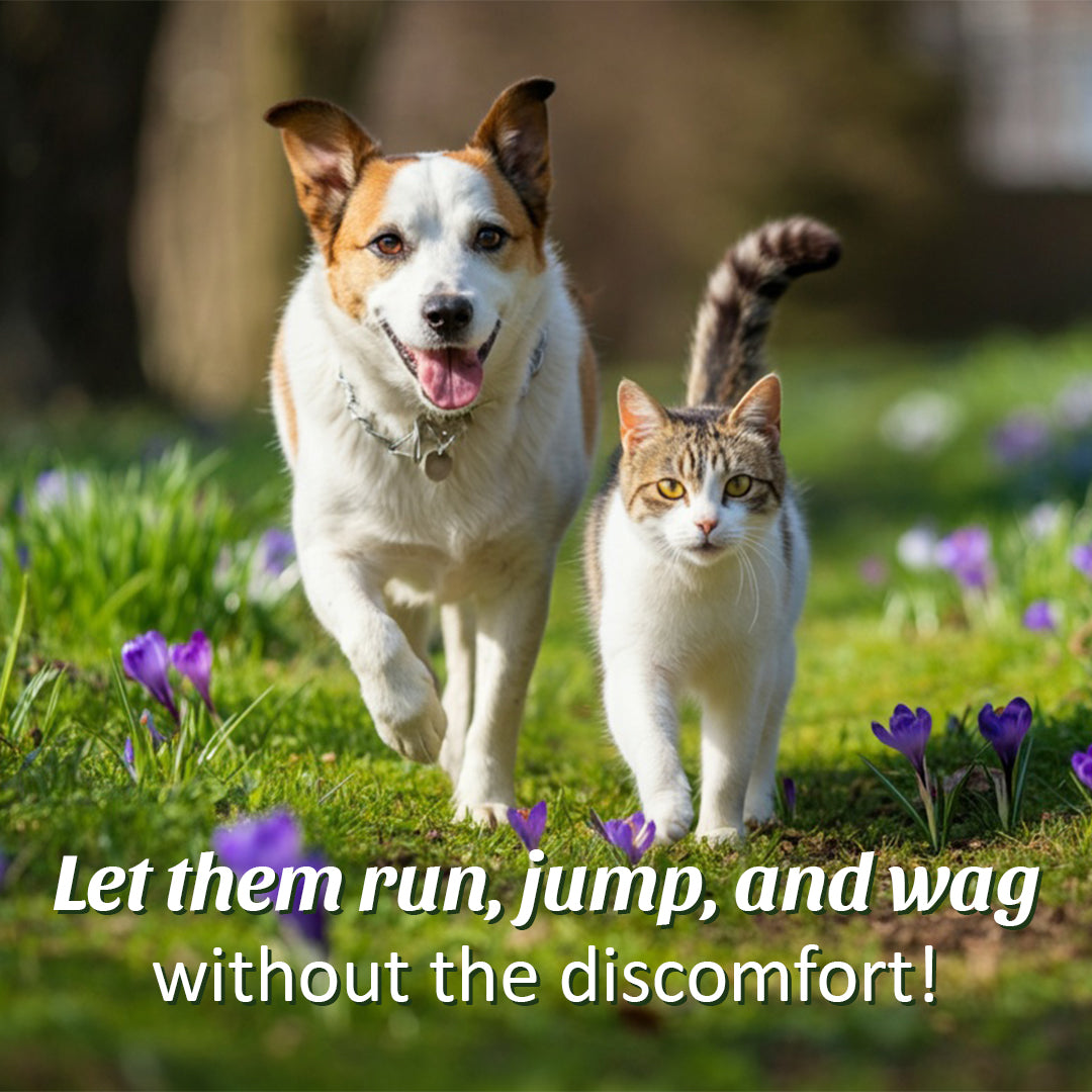 Happy dog and cat running in a flower field, promoting active and healthy lifestyles for pets.