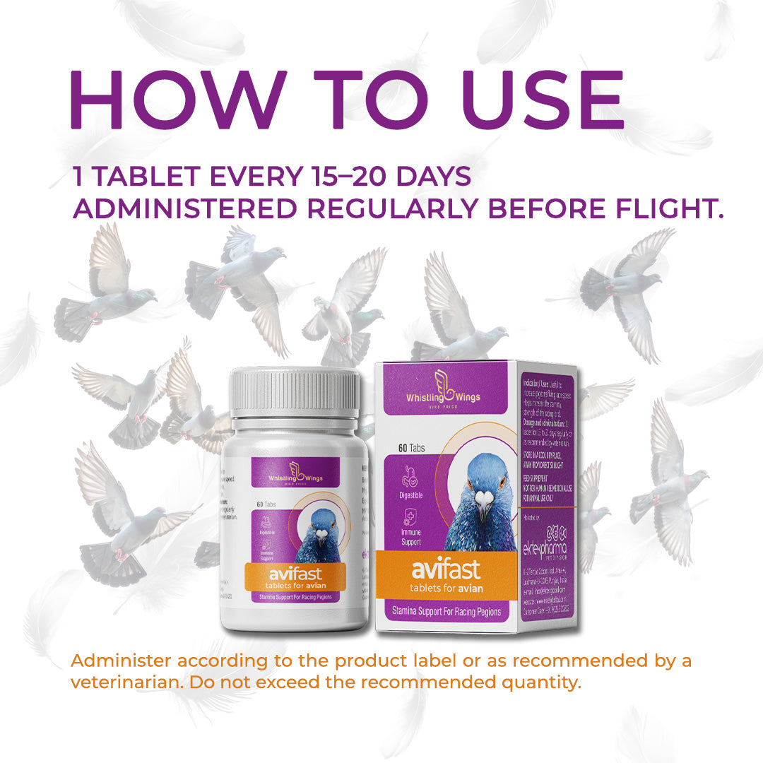 Avifast Tablets for Avian 60 Tablets – Supplement for Racing Pigeons