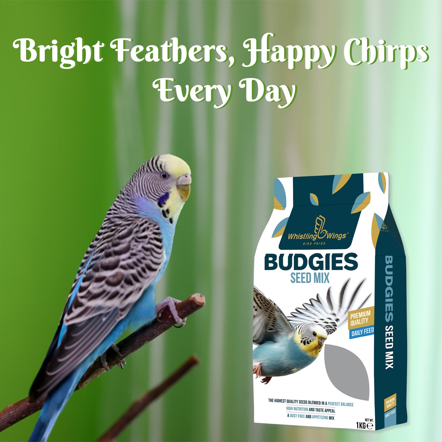 Budgie Seed Mix | Premium Daily Bird Feed 1kg
