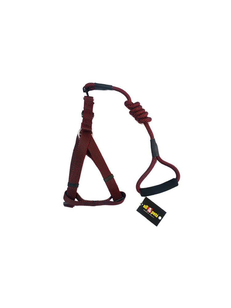 Red dog harness leash in india
