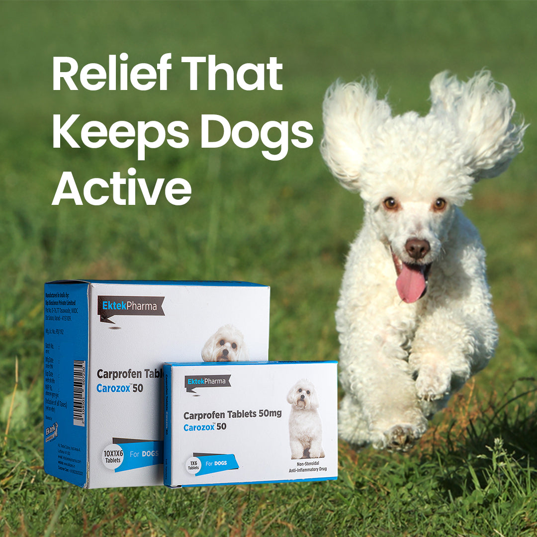 CAROZOX CARPROFEN 50MG TABLETS (PACK OF 2)