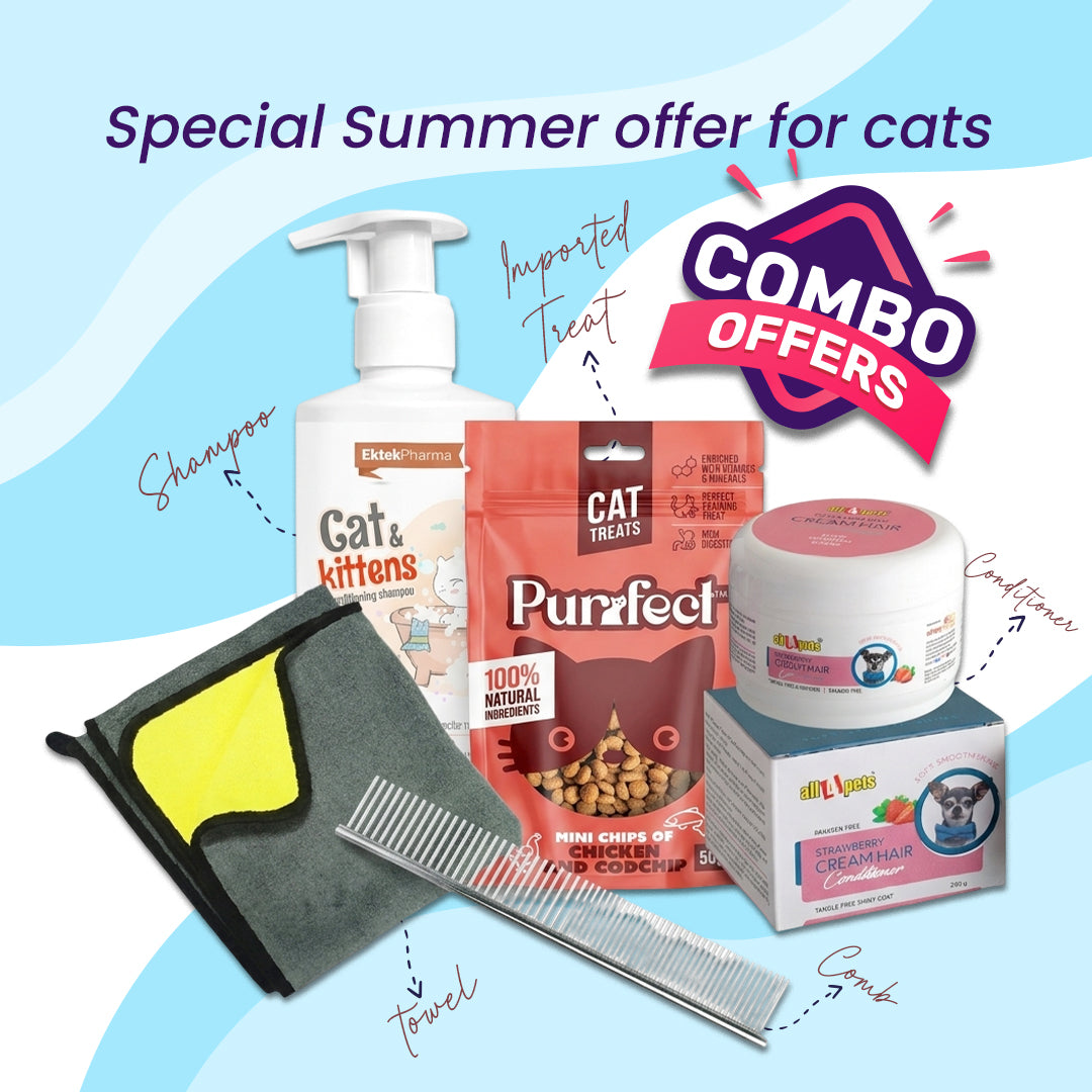 Summer Essential Kit for Cats