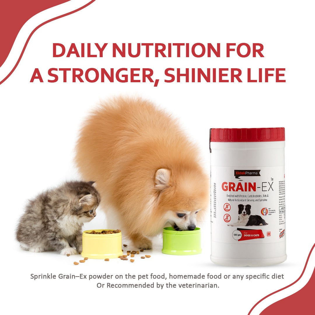 Dog and cat eating food mixed with Grain-EX Powder grain-free supplement