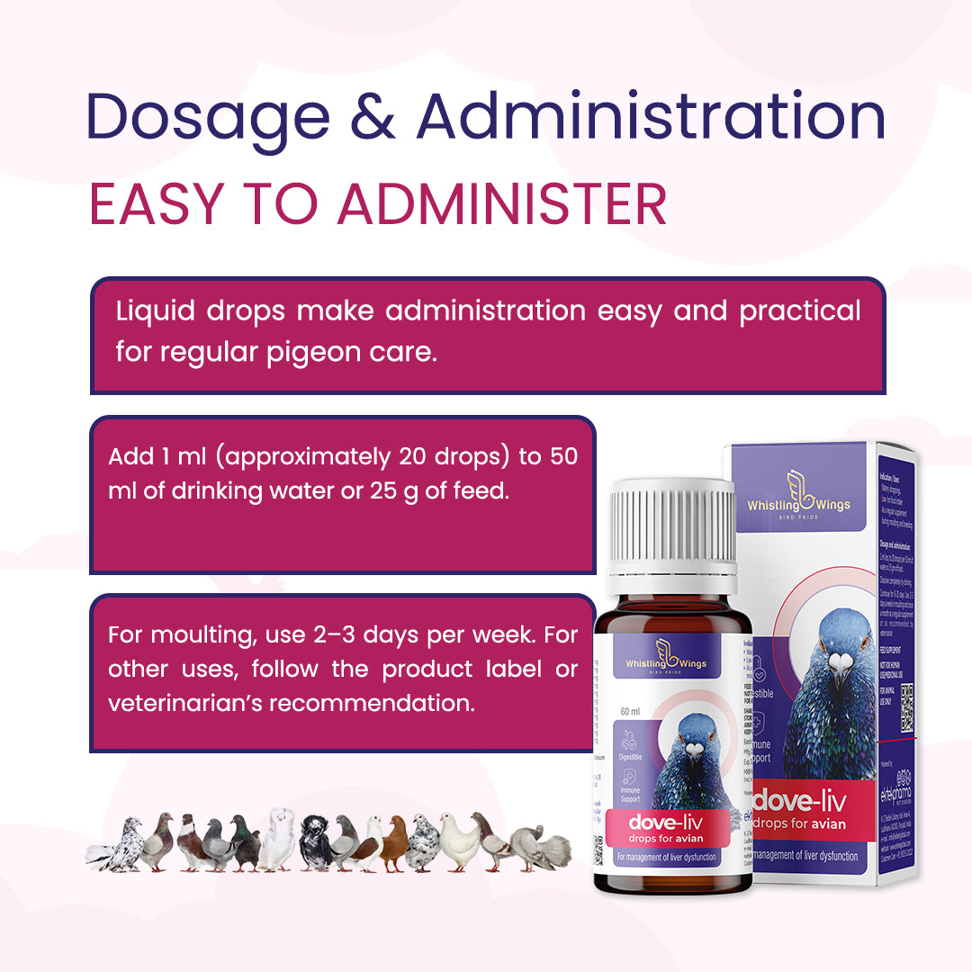 Dove-Liv Drops for Avian 60ml – Nutritional Support for Birds