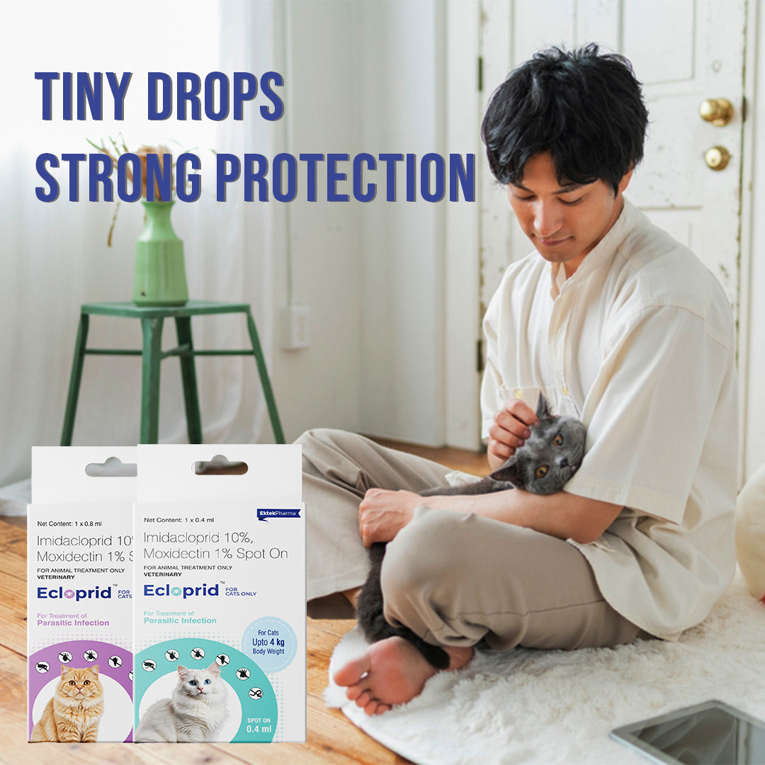 Ecloprid Spot-On for Cats | Flea & Tick Control