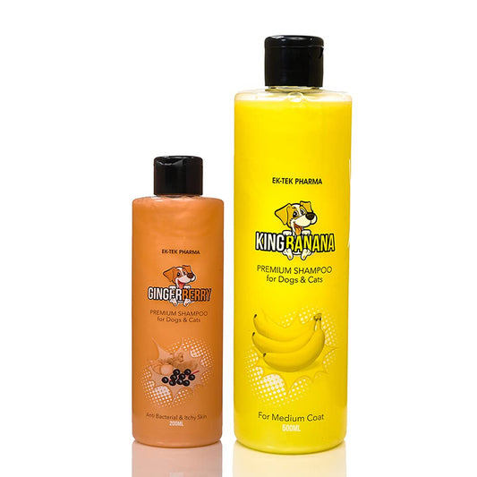 Combo with Fruit Shampoo Buy King Banana 500ml & Get Free Ginger Berry Shampoo 200ml for Dogs and Cats