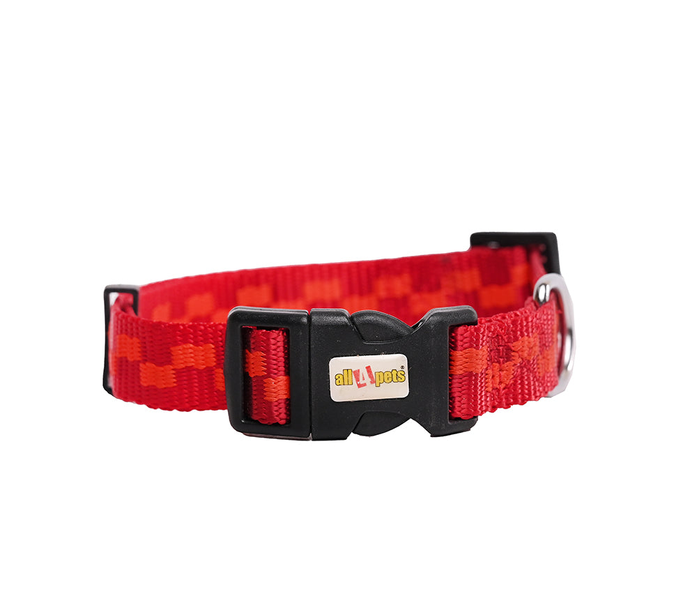 NYLON DOG COLLAR