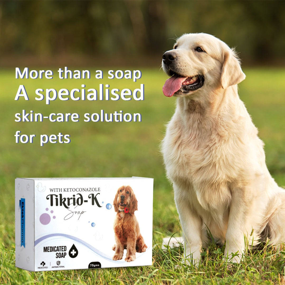 Happy Dog and Cat After Bath with TikRid-K Soap – Clean and Fresh Coat