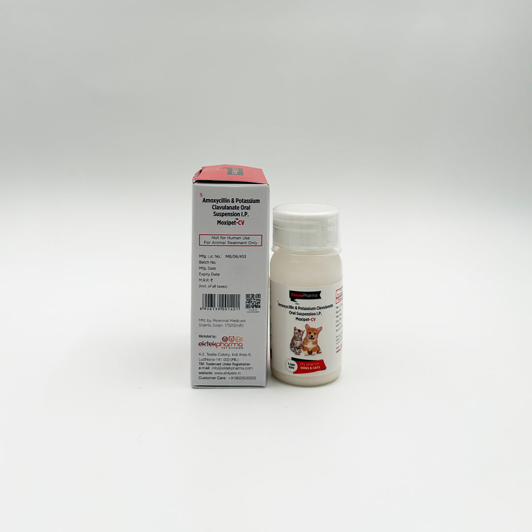 Moxipet-CV dry syrup bottle and box