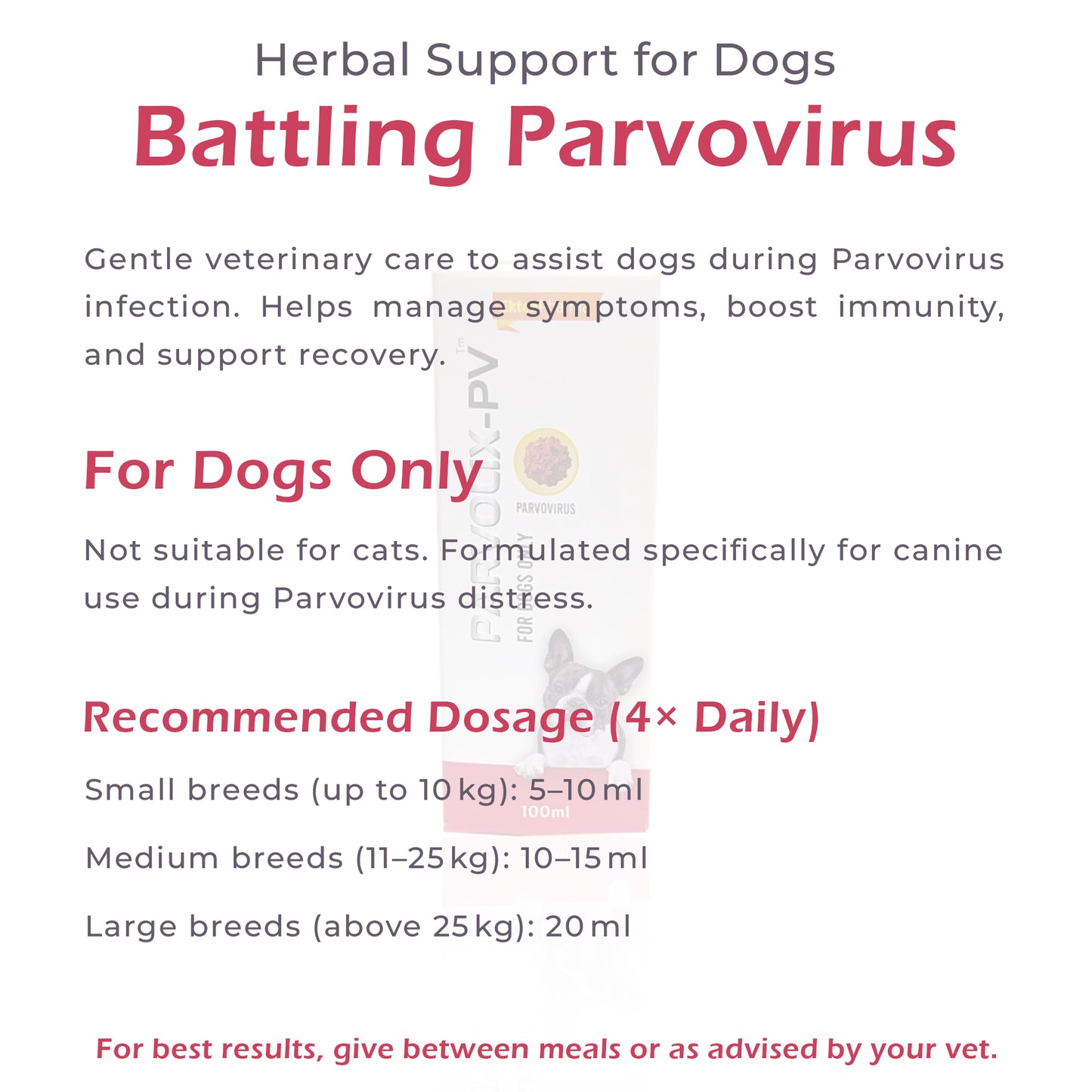Parvolix-PV Drops -100ml ( For Treatment of Parvo Virus Disease) for Dogs