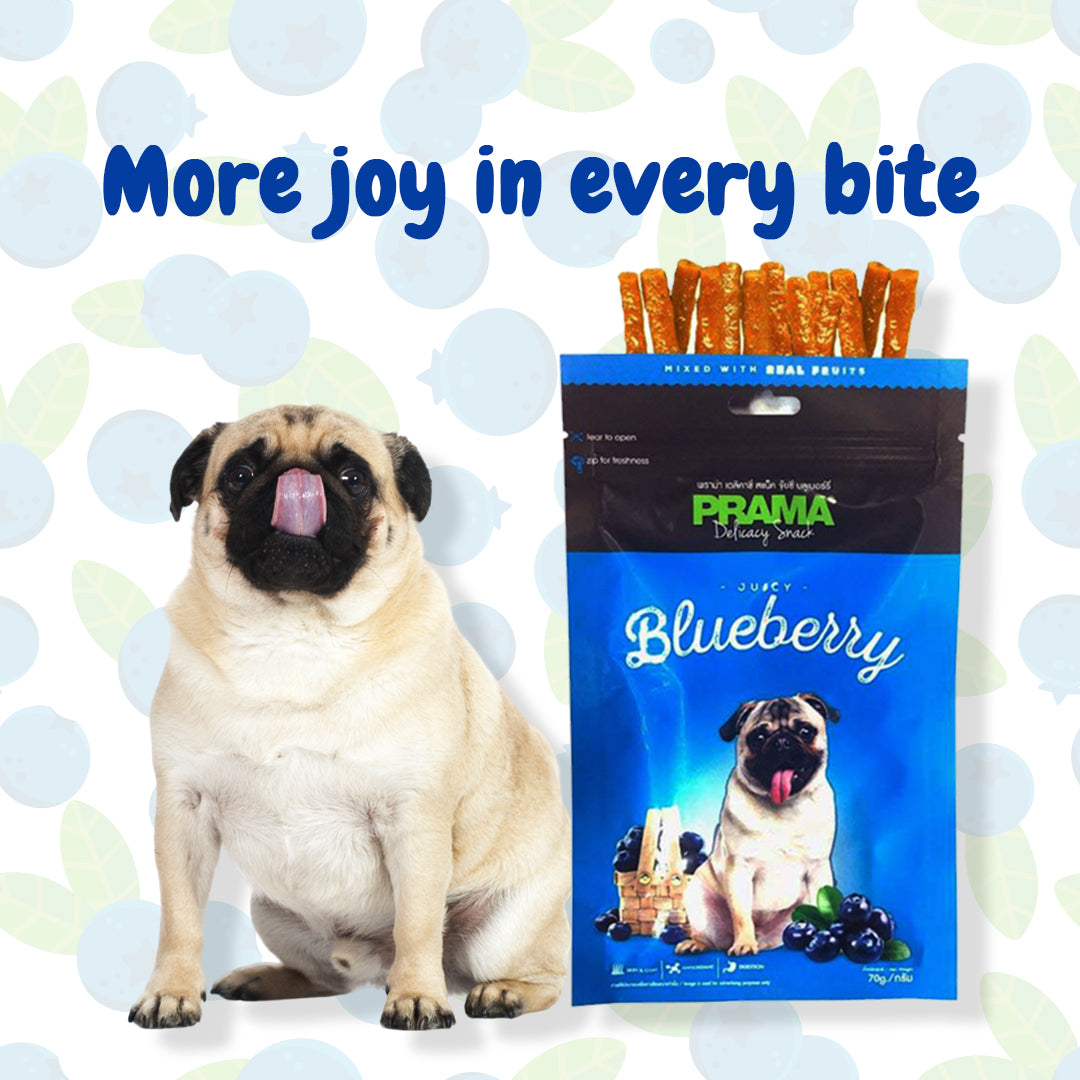 Prama Juicy Blueberry Flavoured Treats for Dogs (Pack of 2)