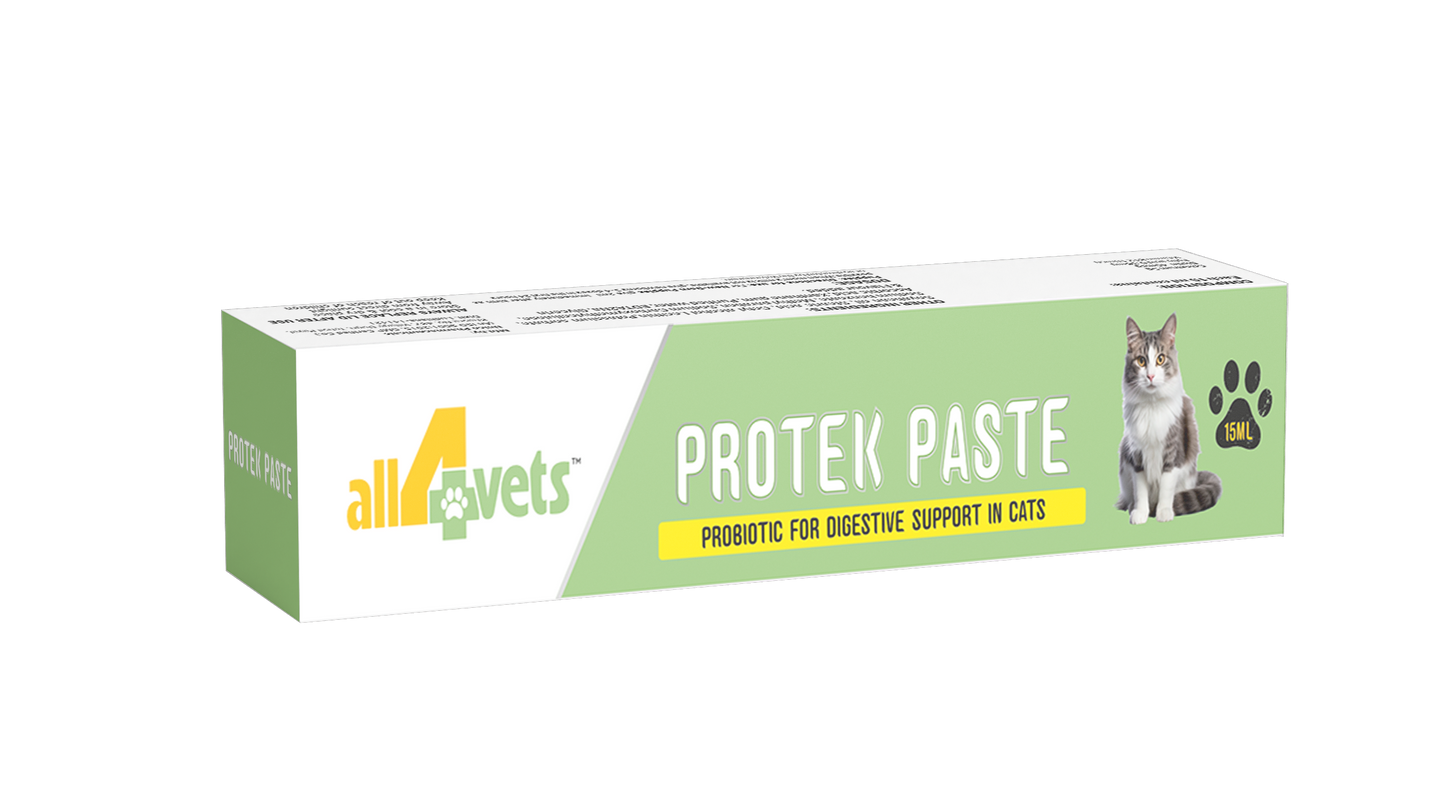 PROTEK PASTE FOR CATS