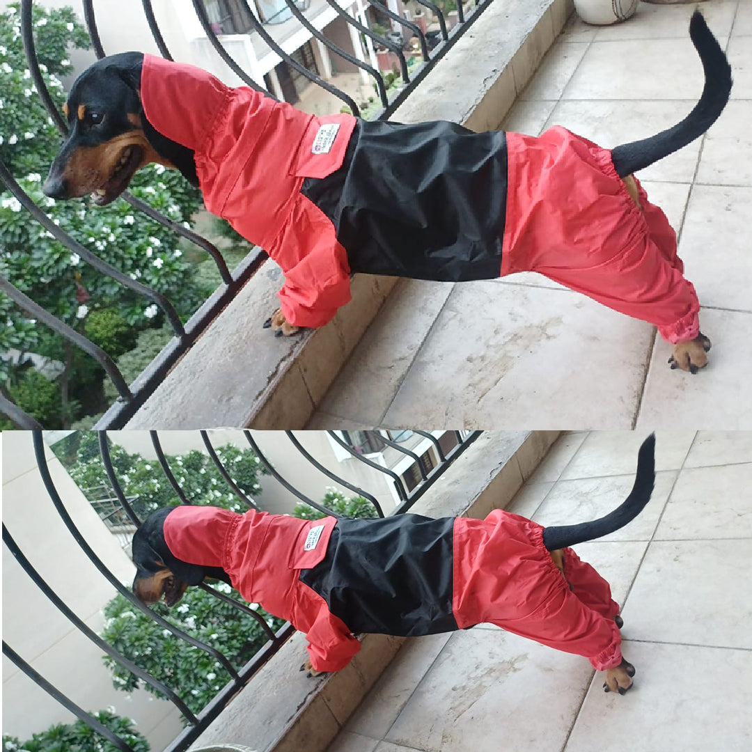 Waterproof Dog Raincoat with Hood & Legs | Full Coverage