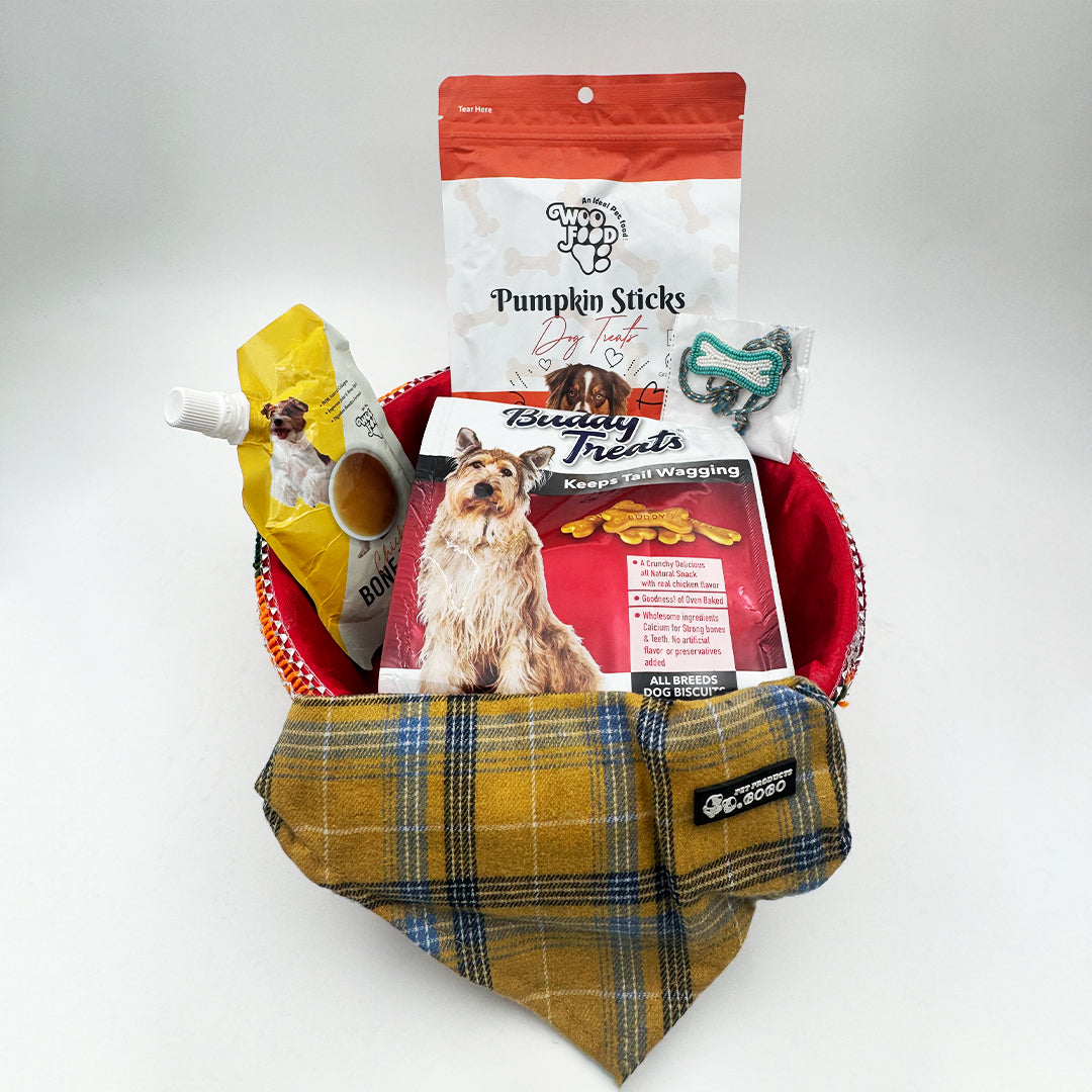 Pet Rakhi Hamper for dogs cats