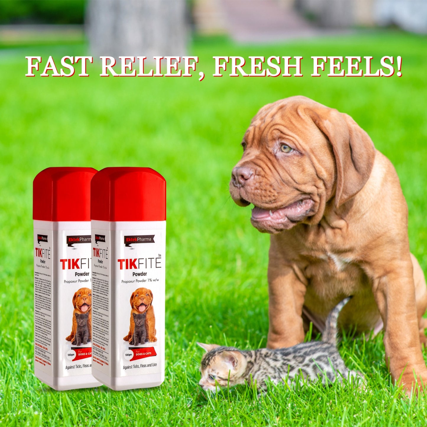 TikFite Topical Tick and Flea Powder 100g pack of 2 for pets