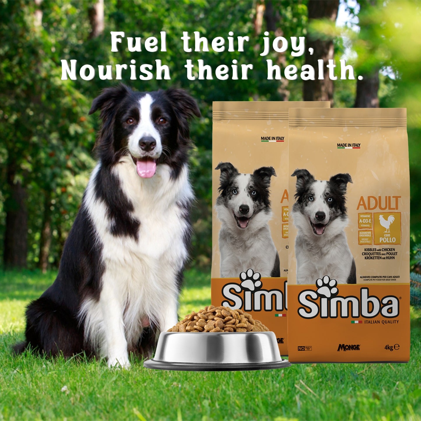 Simba Adult Dry Dog Food 10kg - Chicken Formula, Complete Balanced Nutrition, High Protein, Digestive Support, Made in Italy