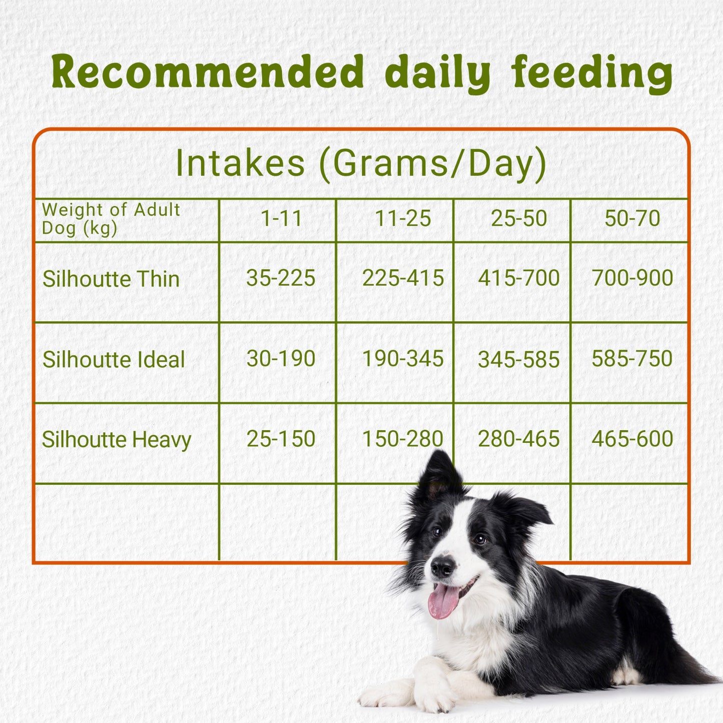 Simba Adult Dry Dog Food 10kg - Chicken Formula, Complete Balanced Nutrition, High Protein, Digestive Support, Made in Italy