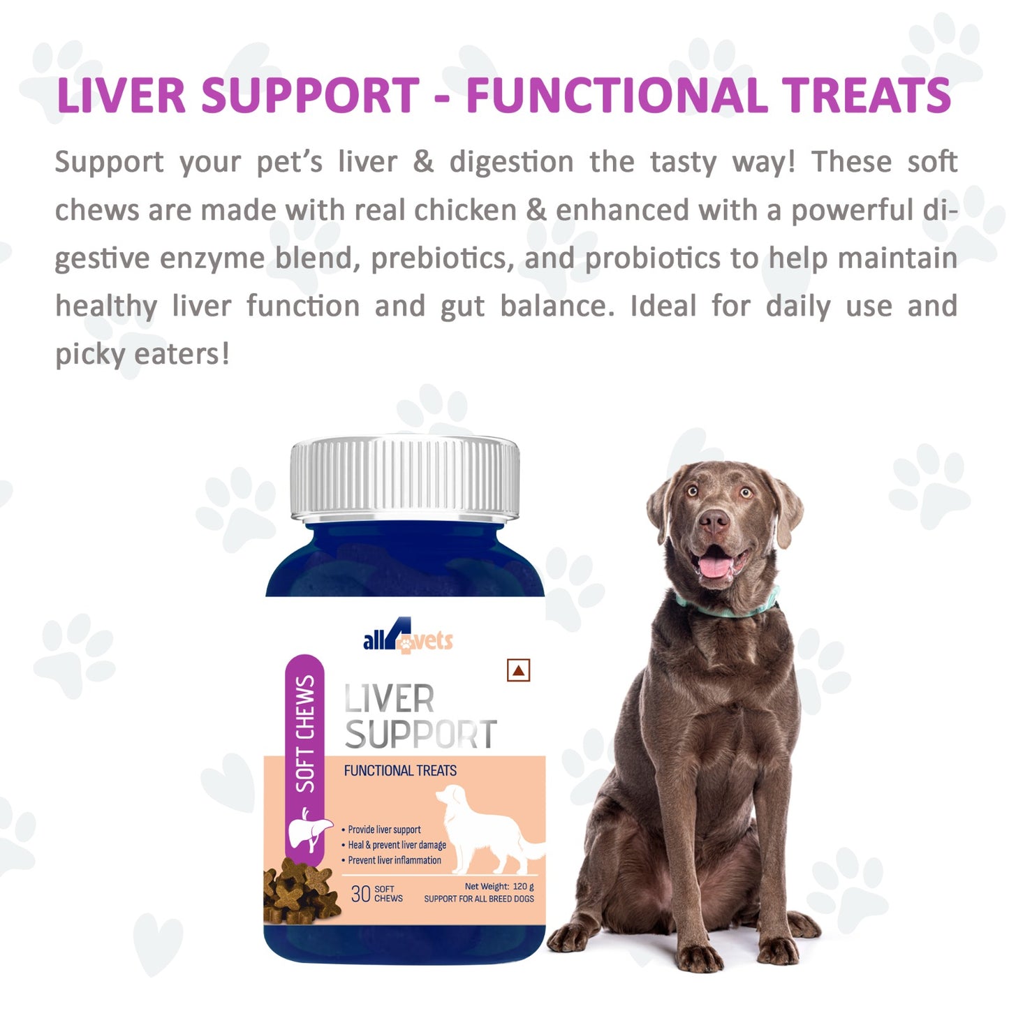 SOFT CHEWS- LIVER SUPPORT FOR DOGS