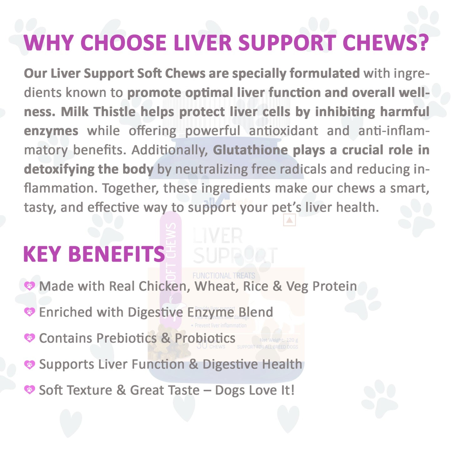SOFT CHEWS- LIVER SUPPORT FOR DOGS