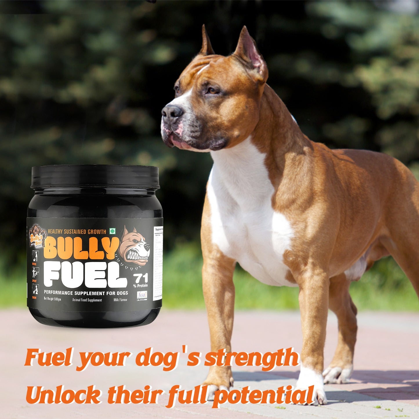 Bully’s Best Bully Fuel 500g supplement for dogs with muscular dog outdoors
