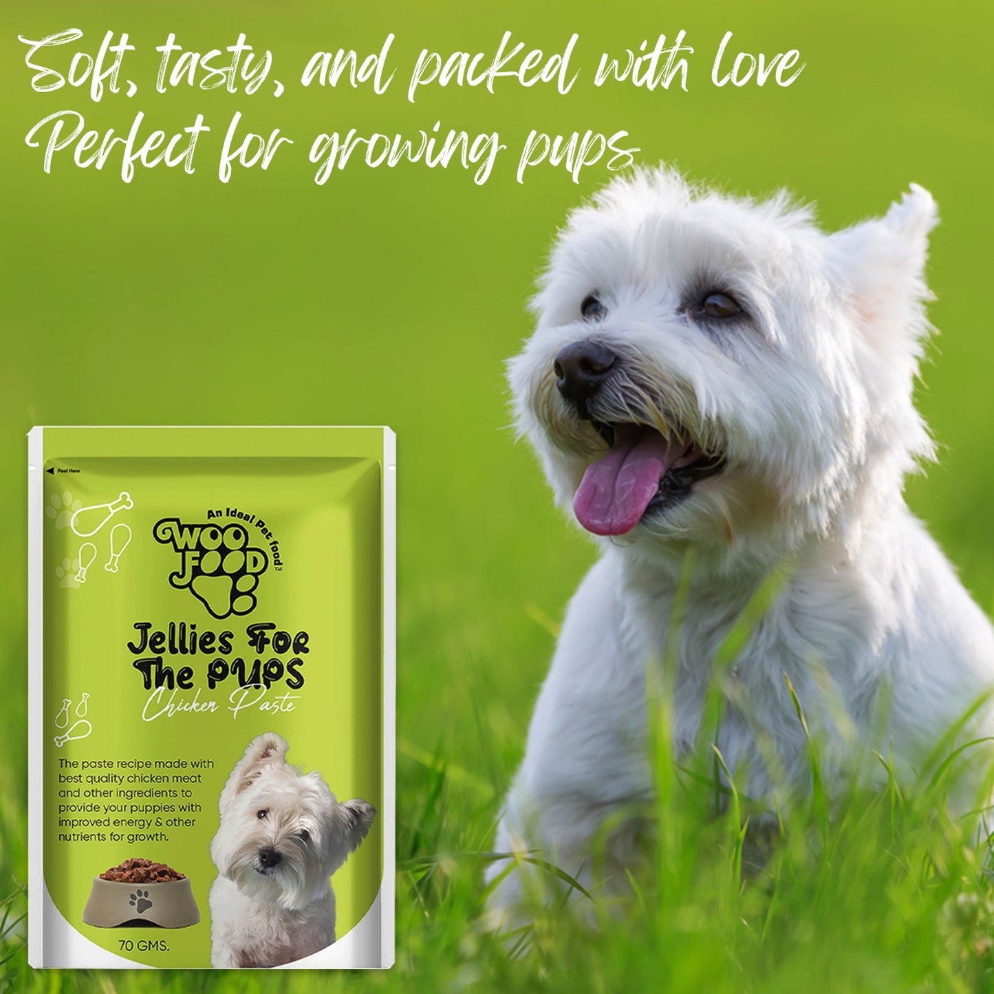 jelly for pets in 2 flavours