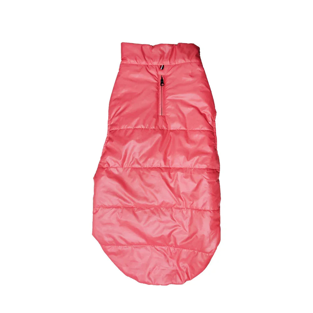 Winter H & M Jackets (Color may Vary) Orange