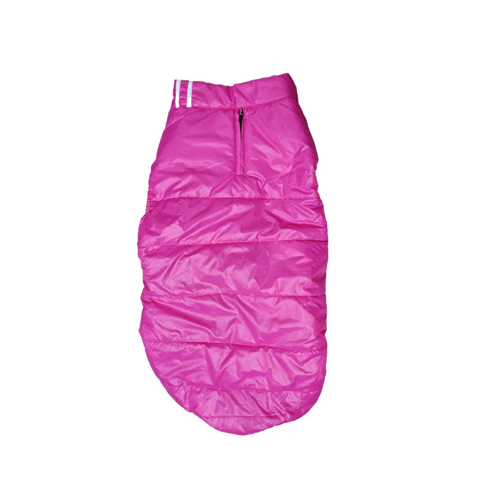 Winter H & M Jackets (Color may Vary)