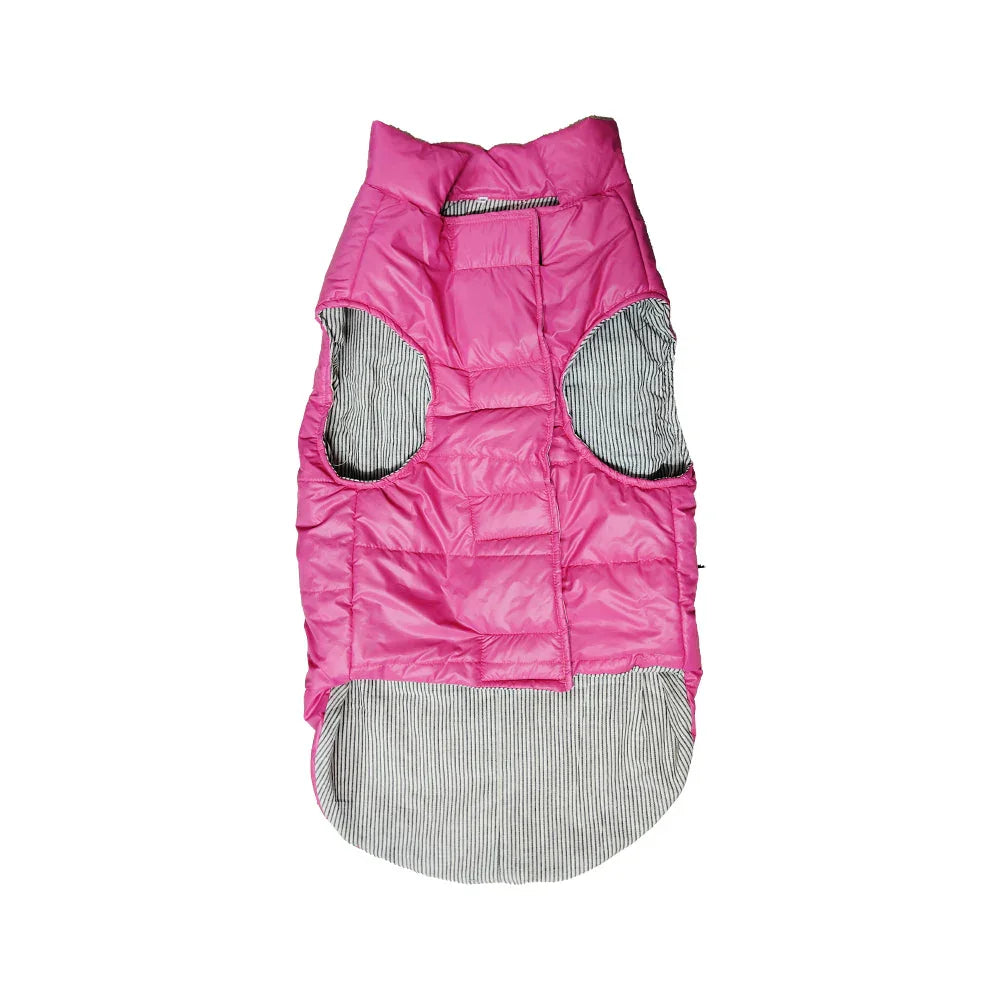 Winter H & M Jackets (Color may Vary)