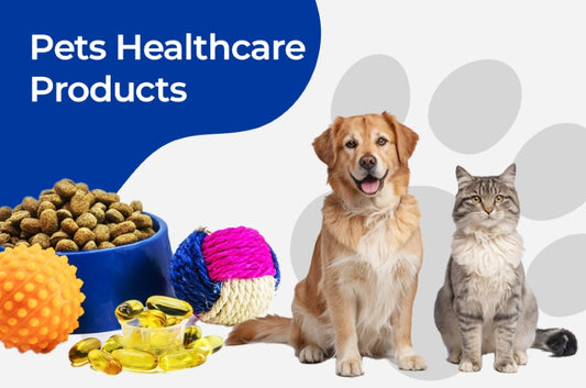 Top Pet Wellness Supplements in India: A Pet Parent’s Guide to Everyday Health