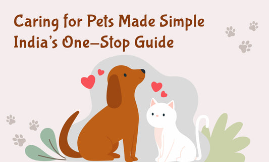 A Pet Parent’s Guide to Buying Pet Medicine, Supplements & Hygiene Products Online in India