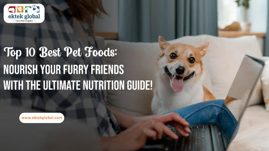 Top 10 Foods to Nourish Your Pets with the Nutrition Guide