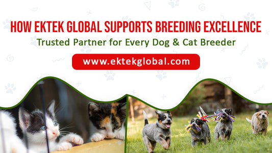 How Ektek Global Support Breeders with Trusted Dog & Cat Care Products