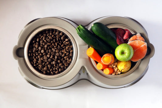What Should Your Furry Baby Eat? A Guide to Home vs. Nutritional Food
