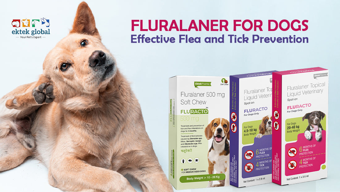 Fluralaner for Dogs Up to 12 Weeks of Flea & Tick Protection
