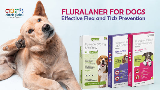 Fluralaner for Dogs Up to 12 Weeks of Flea & Tick Protection