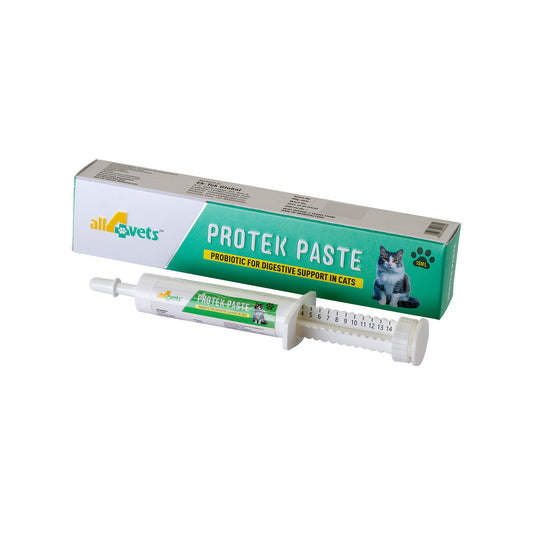 PROTEK PASTE FOR CATS