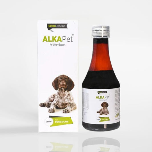 Alkapet Syrup-200ml  (Pack of 2) For Urinary Support