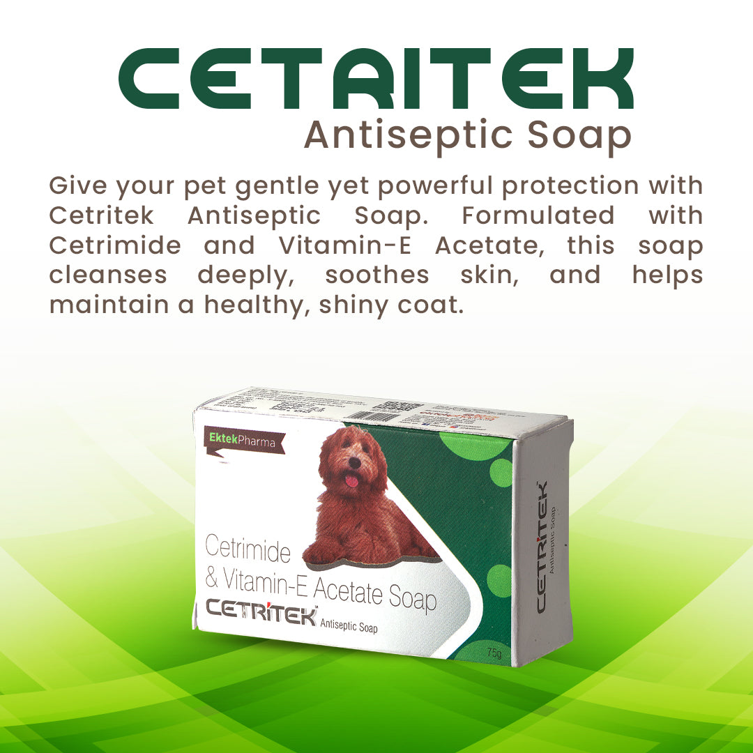 Cetritek Antiseptic Soap 75gm (Pack of 5)