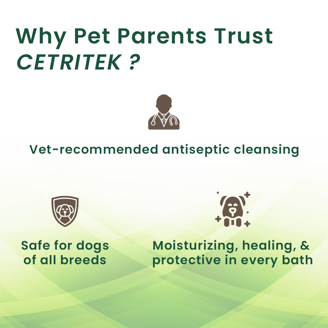 Cetritek Antiseptic Soap 75gm (Pack of 5)