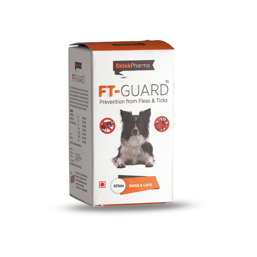 All4Pets FT Guard flea and tick tablets pack front label