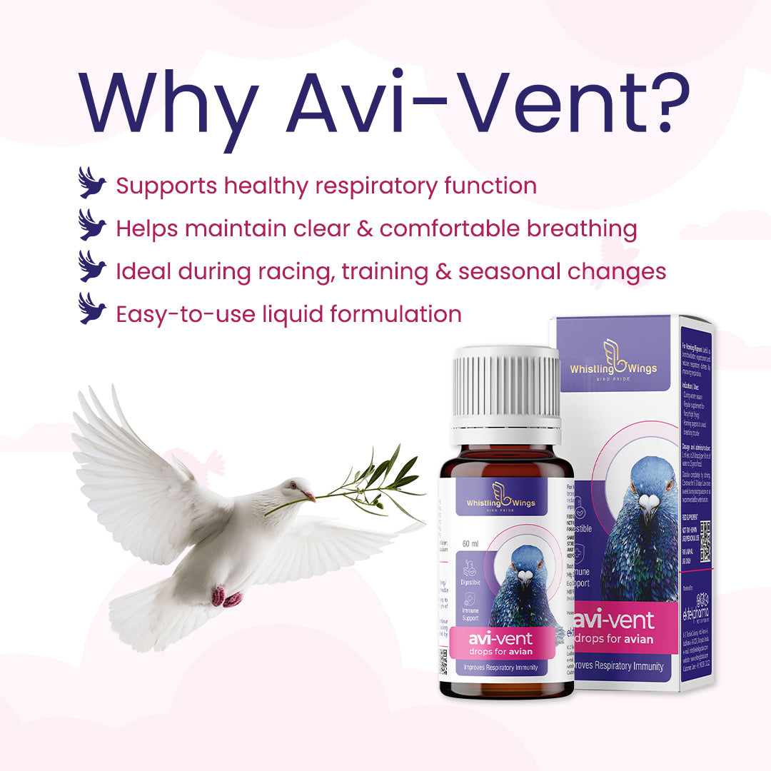 Why choose Avi-Vent Drops for Avian 60ml