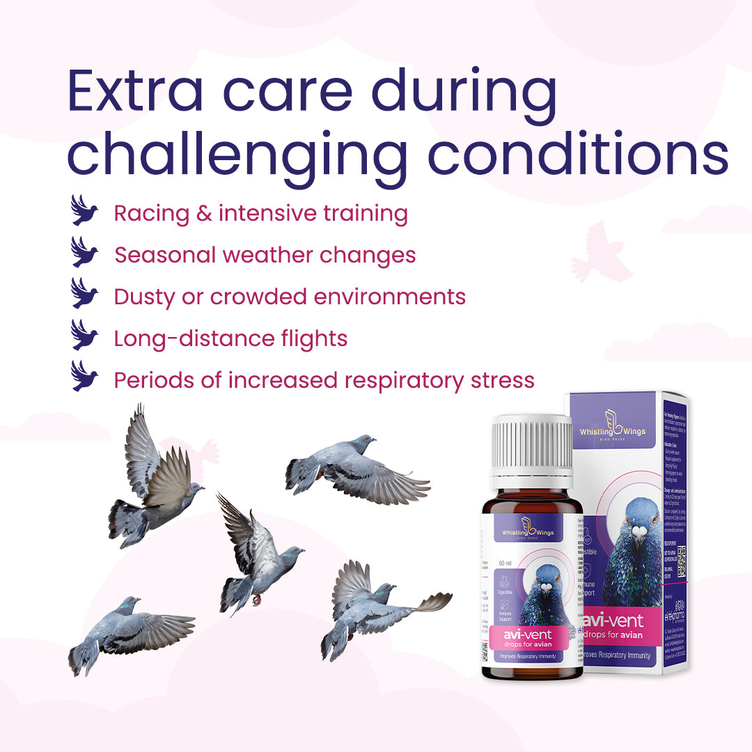 Benefits of Avi-Vent Drops for Avian 60ml
