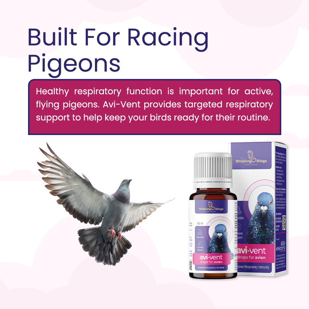 Avi-Vent Drops for Avian 60ml – Bird Nutritional Supplement